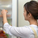 まるごと冷凍弁当の衛生面徹底ガイド！安全な保存方法と注意点